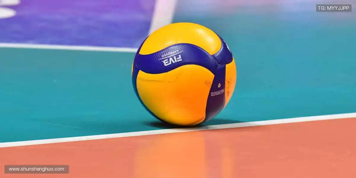 🏆冠军同款,与偶像共享荣耀时刻!